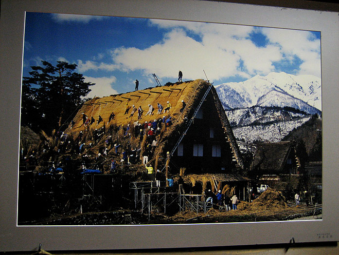 Shirakawago Village Roof-Rethatching of a Gassho-Zukuri Farmhouse