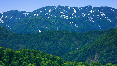 Shirakami Sanchi Mountain Range