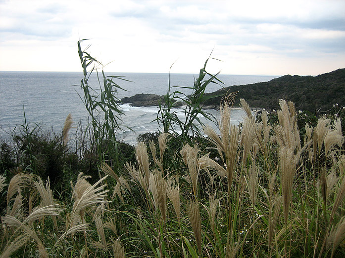 Coastline of Yakushima Island