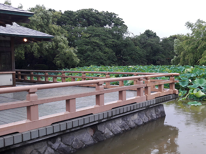 Genpei Pond Tsurugaoka Hachimangu Shrine in Kamakura