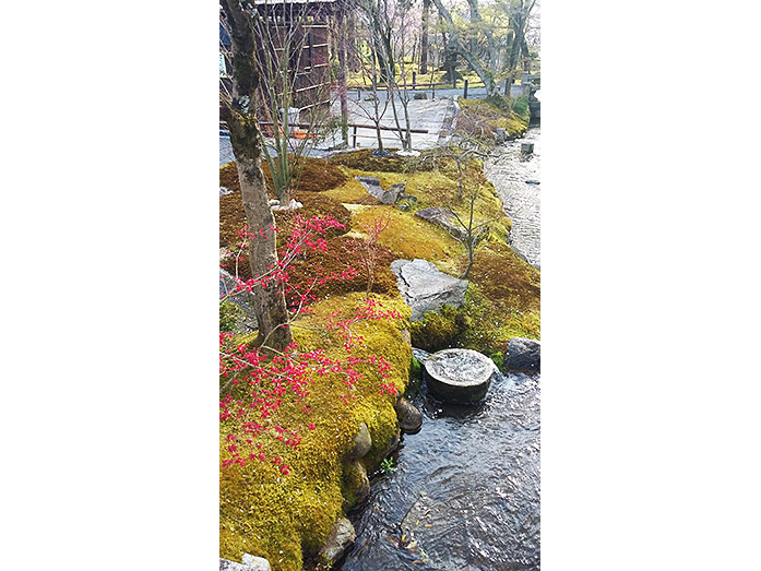 Beautiful Garden Eikan-do Temple in Kyoto