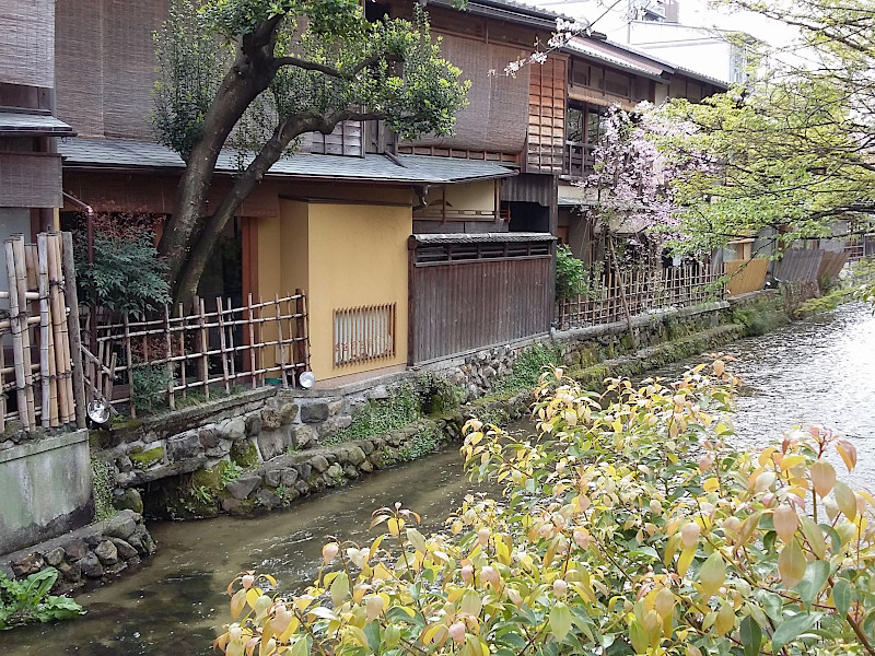Shirakawa Canal, Gion District in Kyoto