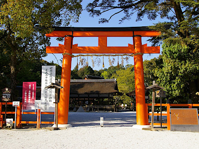Torii at the Entrance of Kamigamo Shrine in Kyoto