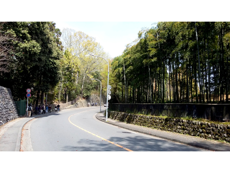 Street near Ryoan-ji Temple in Kyoto