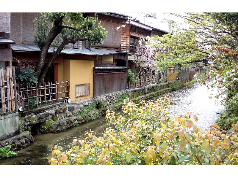 Shirakawa Canal in Kyoto