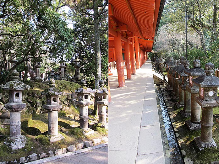 Kasuga Taisha Shrine and Stone Lanterns Path