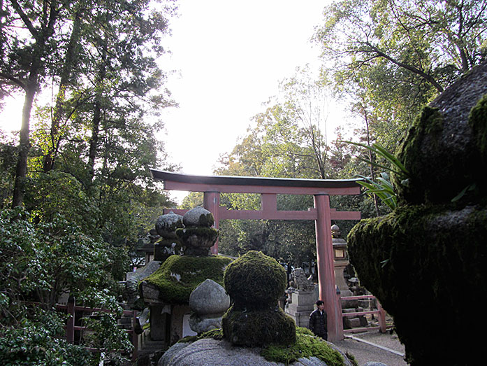 Ni-No-Torii at the Path to Kasuga Taisha Shrine