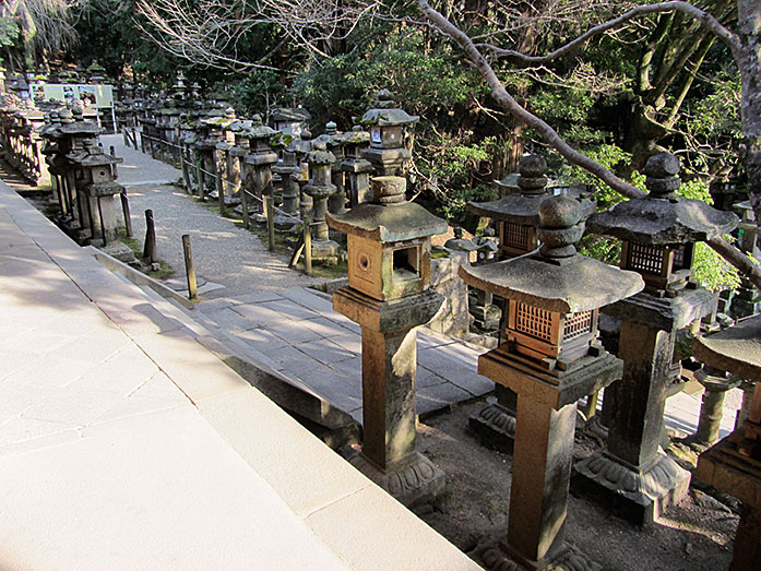 Path with Stone Lanterns to Kasuga Taisha Shrine
