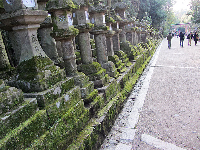 Path with Stone Lanterns to Kasuga Taisha Shrine