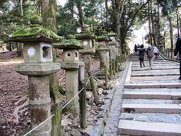 Path to Kasuga Taisha Shrine