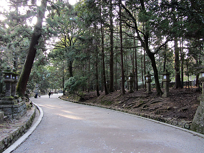 Path to Kasuga Taisha Shrine in Nara