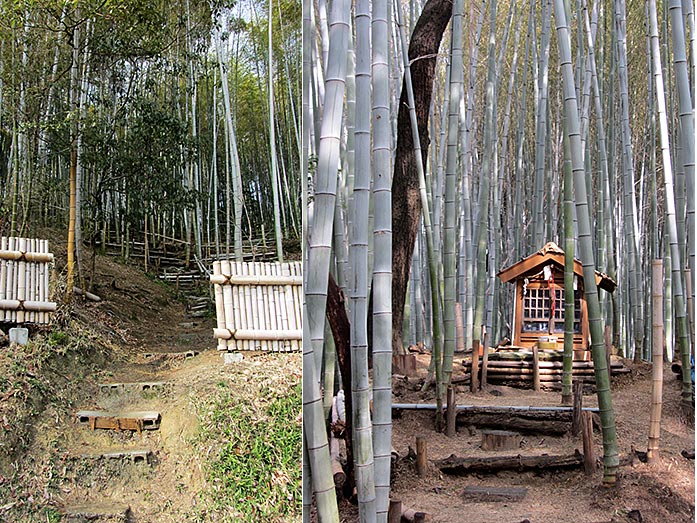 Hidden Shrine in Bamboo Forest within Hattori Ryokuchi Park in Osaka