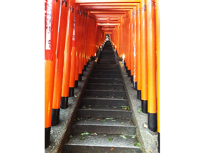 Red Torii Gates (Inari Sando) at Akasaka Hie Shrine in Tokyo