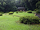 Tokyo Meiji Jingu Inner Garden