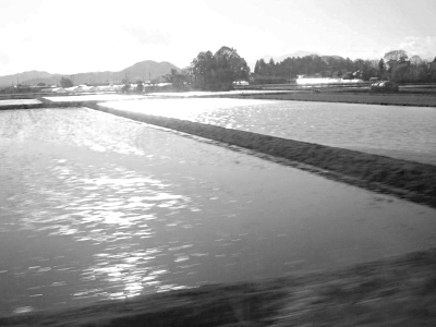 Rice Paddies near Yaita