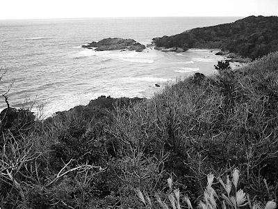 Yakushima Island