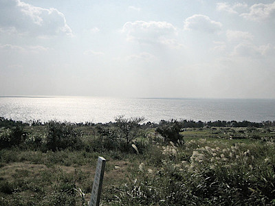 Yakushima Island