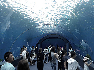Hakkeijima Sea Paradise Aquarium in Yokohama