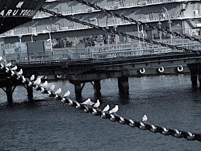 Yokohama Harbour