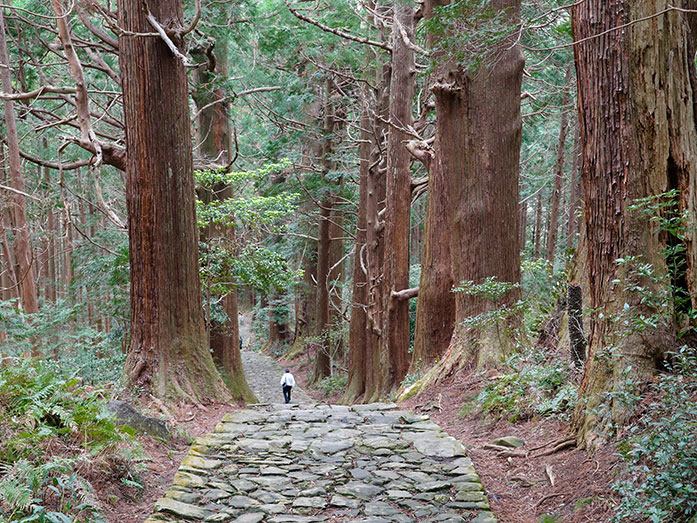 Kumano Kodo Pilgrimage Route in Daimonzaka Hill in Wakayama Prefecture