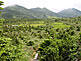 Hiking Trail in the Hakkoda Mountain Range, Aomori Prefecture