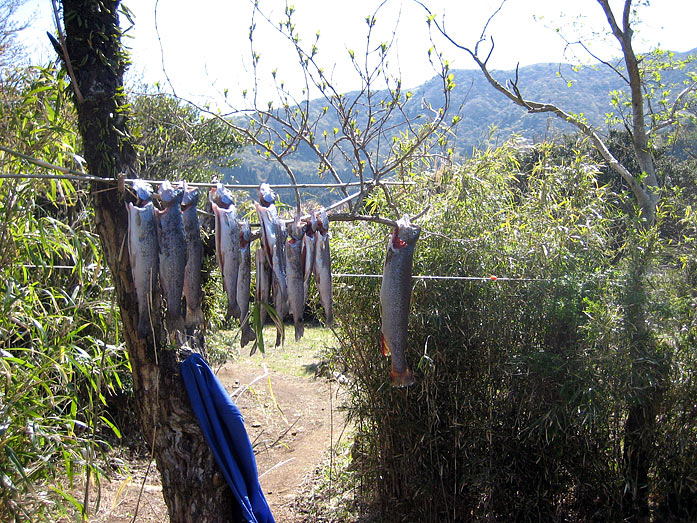 Fishing at Lake Ashi Hakone