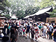 Crowded Hikawa Shrine Complex in Kawagoe