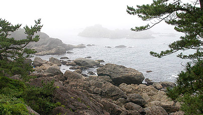 Tanesashi Coast