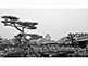 Himeji Castle and Otemon Gate