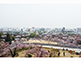 Himeji Castle Area View