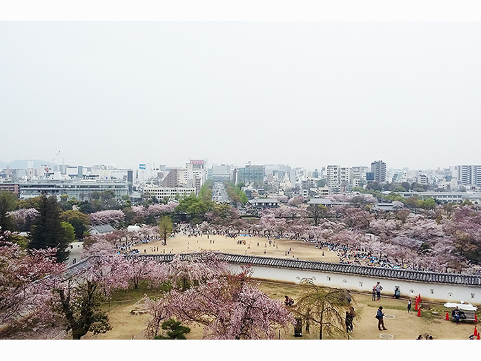 Himeji Castle Area View