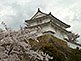 Himeji Castle Hyogo Prefecture
