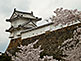 Himeji Castle