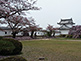 Musha Damari Himeji Castle