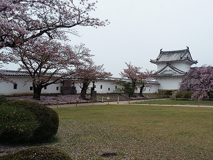 Musha Damari Himeji Castle