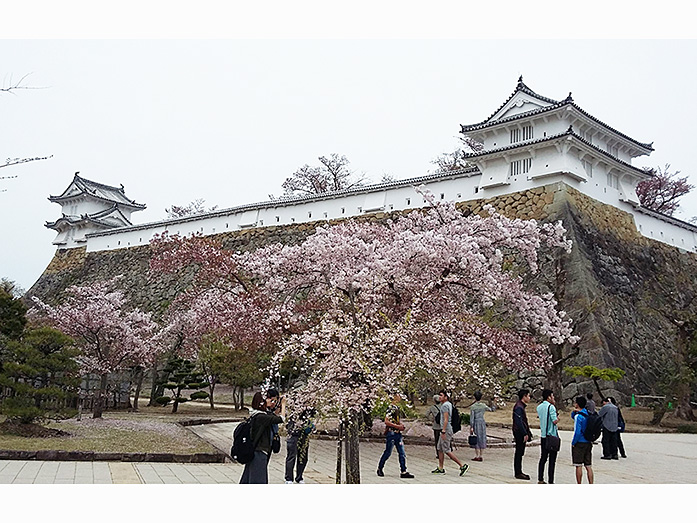 Himeji Castle Sannomaru Nishi Takadai