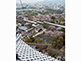 View from Main Tower over Hishi Gate Himeji Castle