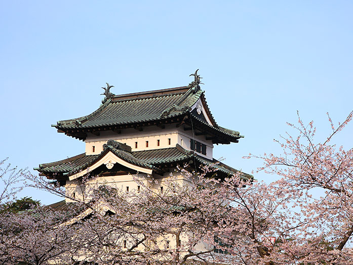 Hirosaki Castle during Cherry Blossom Season, Aomori Prefecture