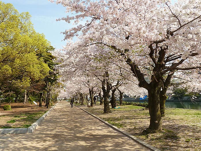 Hiroshima Peace Memorial Park