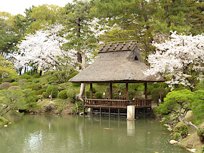 Shukkeien Garden in Hiroshima