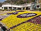 Flower Center on Innoshima Island in Hiroshima Prefecture