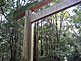 Torii at Ise Outer Shrine (Geku) in Mie Prefecture