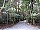 Walking Path at Ise Outer Shrine (Geku) in Mie Prefecture