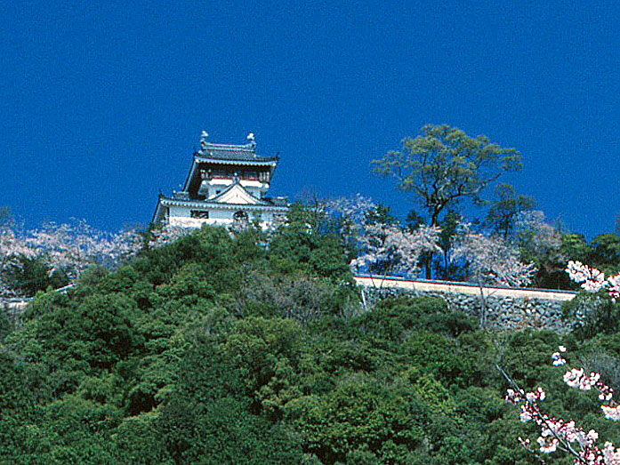 Iwakuni Castle in Yamaguchi Prefecture