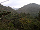 Hiking Tour to Jomon Sugi on Yakushima Island
