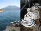 Kagoshima Harbour with Volcano Sakurajima