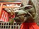 Kitsune Statue Mount Koya