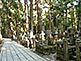 Mount Koya Okunoin Cemetery in Wakayama Prefecture