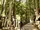 Mount Koya Okunoin Cemetery in Wakayama Prefecture