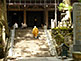 Mount Koya Mausoleum Of Monk Kobo Daishi Okunoin Cemetery
